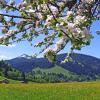 Gemeinde Pfronten tritt aus dem Bayerischen Heilbäderverband aus