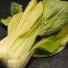 Was ist Pak Choi?