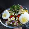 meat vs. vegetables: Putenbrust auf Ratatouille vs. Gänseblümchen-Salat