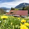 Streit um die Immenstädter Alpe Schönesreuth