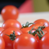 Cocktailtomaten