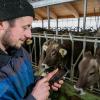 Bei der Landwirtsfamilie Abler in Scheidegg überwachen Computer und Smartphone die 78 Milchkühe
