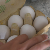 Life Hack #73: Eier Frischetest