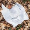 Die Gelbe Tonne trifft auf unterschiedliche Meinungen im Unterallgäu.