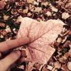 Trotz Herbstblues kann sich der Herbst mit den richtigen Tipps sehr schön gestalten lassen.