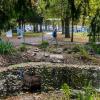 Ab Montag ist der Stadtpark tabu. Ein Bauzaun verhindert den Aufenthalt im Park. Denn Kemptens grüne Lunge wird umgestaltet. Die Arbeiten mit mehreren Baukolonnen beginnen nächste Woche. 
