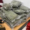 Rund 24 Kilogramm Marihuana wurden in einem Fahrzeug eines Italieners bei der Einreise nach Deutschland sichergestellt.