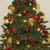 Das Team von all-in.de wünscht allen Usern schöne Weihnachtstage.