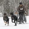 Schlittenhunderennen in Unterjoch: 2019 leider abgesagt (Archivfoto)