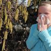 Ab Mittwoch Frühlingswetter im Allgäu: Birkenpollen machen Allergikern zu schaffen