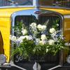 Bei unserem Dreh hatten wir das Glück, einen dekorierten alten Bus für eine Hochzeitsgesellschaft zu sehen.