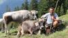 Christian Schratz hat sich auf „Tiroler Grauvieh“ spezialisiert. Seine Kühe und er haben sich von Anfang an auf der Gernalpe im Hintersteiner Tal wohlgefühlt.