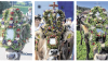 Die Leser der Allgäuer Zeitung haben entschieden: Von den knapp 600 Einsendungen entfielen über 250 Stimmen auf die Kranzrinder der Unterlauchalpe (links), der Alpe Hirschgund (Mitte) und der Michelesalpe (rechts). Sie wurden damit zu den drei schönsten geschmückten Tieren gewählt.