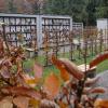 Immer mehr Menschen möchten in einer Urne bestattet werden. Auf dem Waldfriedhof in Memmingen gibt es Urnenwände. Die Pflege dieser Gräber ist weniger aufwendig als nach herkömmlichen Bestattungen im Sarg.