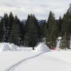 Zelt- und Iglubau im Schutzgebiet: Rangerin Britta Löw sagt, solche Aktionen sollten zuvor abgestimmt und abgesprochen werden.
