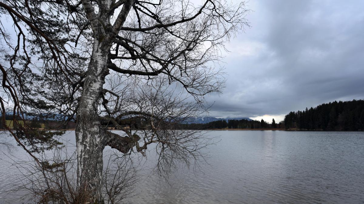 wetterdienst-k-ndigt-schnee-zum-wochenstart-in-bayern-an