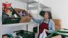 Noch ein letztes Mal kostenlose Lebensmittel: Getrud Sauter von der Kaufbeurer Tafel packt für ihre Kunden jetzt Tüten, um den Kontakt und die Infektionsgefahr so weit wie möglich einzuschränken. Ab Montag schließt die Tafel.