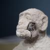 Udo, der aufrecht gehende Menschenaffe. Der Gemeinderat Pforzen möchte eine Wanderausstellung rund um „Danuvius guggenmosi“ mit einer Schau zur Evolutionstheorie kombinieren. 