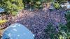 Der Tag des Triumphes: Über 3.000 Dirndl-Trägerinnen und -Träger sind im Kemptener Stadtpark auf der Allgäuer Festwoche versammelt und schaffen damit den Weltrekord.