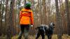Dürre, Hitze und Stürme setzen dem Wald zu. Die IG BAU fordert mehr Forstpersonal, um den klimagerechten Umbau heimischer Wälder voranzubringen. (Symbolbild)