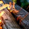 Im Landkreis Ravensburg hat ein landwirtschaftliches Gebäude gebrannt. 70 Tiere starben. (Feuer Symbolbild). 