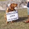 Auch Hundeschulen haben während des Lockdowns geschlossen.