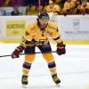 Neuzugang beim ECDC Memmingen: Matej Pekr