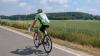 Bei einem Sturz hat sich ein Rennradfahrer im Landkreis Ravensburg schwer verletzt. (Symbolbild)
