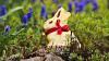 Ein Oster-Klassiker: Der Lindt-Goldhase. Darf die Confiserie Heilemann aus Woringen in Zukunft auch ihre Schoko-Osterhasen in Gold kleiden? Der BGH entscheidet.