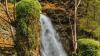 Ein 40-Jähriger ist an einem Wasserfall in Dornbirn ausgerutscht und mehrere Meter in die Tiefe gestürzt. (Symbolbild)