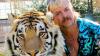 Joe Exotic alias "Tiger King" sitzt derzeit in Haft.