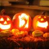 Trotz vieler Einsätze wegen Ruhestörung, Sachbeschädigung und Körperverletzung vermeldet die Polizei eine eher ruhige Halloween-Nacht im Allgäu. (Symbolbild)