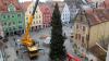 Das Aufstellen des Christbaums ist in jedem Jahr eine kleine Attraktion für Jung und Alt.