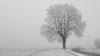 Im Oberallgäu kam es am Samstag zu mehreren Unfällen auf schneeglatten Straßen. (Symbolbild)