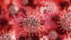 Verdachtsfall: In Deutschland ist nun möglicherweise ebenfalls ein Reiserückkehrer mit der Omicron-Variante des Coronavirus infiziert. (Symbolbild)