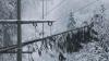 Im Dezember 2017 kam es zu einem Stromausfall der knapp 45 Minuten dauerte. Ein Baum war damals in eine Leitung gefallen. 