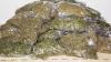 Bei einem 24-Jährigen wurden 55 Kilo Marihuana gefunden.
