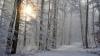 Es schneit im Allgäu in den kommenden Tagen. Es zeigt sich aber auch immer wieder die Sonne. (Symbolbild)