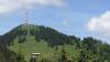 Ist am Grünten Bergwald in Gefahr? Der BUND Naturschutz und andere haben eine Petition gegen Bergwald-Rodung gestartet. (Symbolbild)