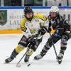 Für den ECDC Memmingen lief es am Wochenende im Spiel gegen die Mad Dogs Mannheim eher durchwachsen. 