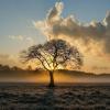 Vor allem am Sonntag wird es tagsüber sonnig. In der Nacht wird es allerdings frostig bei Tiefstwerten bis -12 Grad. (Symbolbild)