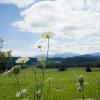 Die Wetterwoche im Allgäu wird sonnig und frühlingshaft mild. (Symbolbild)