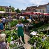 Am Mittwoch beginn die Sommersaison des Wochenmarkts in Kempten.