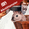Mit #antihamster gegen Hamsterkäufe