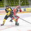 ECDC Memmingen verliert Saisonautakt in Bad Tölz.