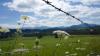 Im Allgäu wechseln sich Sonne und Wolken ab. Örtlich bilden sich noch einige Schauer und Gewitter. Bei 20 bis 28 Grad bleibt es allerdings sommerlich warm im Allgäu. (Symbolbild)