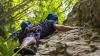 Schwer verletzt wurde am Sonntag ein 44-Jähriger, als er bei einer Klettertour abgestürzt ist. Nachdem das Ende seines Seils durch das Sicherungsgerät rutschte, stürzte er 20 Meter in die Tiefe. (Symbolbild)