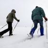 Eine Mutter hat sich gemeinsam mit ihrem halbwüchsigen Sohn in Vorarlberg beim Schneeschuhwandern verirrt. Sie verloren wegen des Schnees und der Dunkelheit die Orientierung. Bergretter konnten beide in der Nähe der Lustenauer Hütte finden. (Symbolbild)