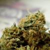 Eine Personenkontrolle in Neu-Ulm führte am Samstagnachmittag zu einem Drogenfund. Ein 20-jähriger Mann war mit mehreren Tüten Marihuana und einem Messer erwischt worden. Bei einer anschließenden Wohnungsdurchsuchung fanden dann Beamte knapp 150 Gramm Marihuana bei dem Verdächtigen. (Symbolbild)
