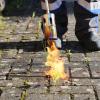 Ein Mann hat in seinem Garten Unkraut verbrannt, als plötzlich ein Holzschuppen in Flammen stand. (Symbolbild)